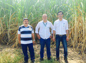Da esquerda para direita Dr. Djalma Euzébio Simões Neto da Universidade Federal Rural de Pernambuco, o Gerente Agrícola, o Sr. Agostinho Medeiros e o Presidente da Itapecuru Bioenergia, o Sr. Vander Gonçalves.